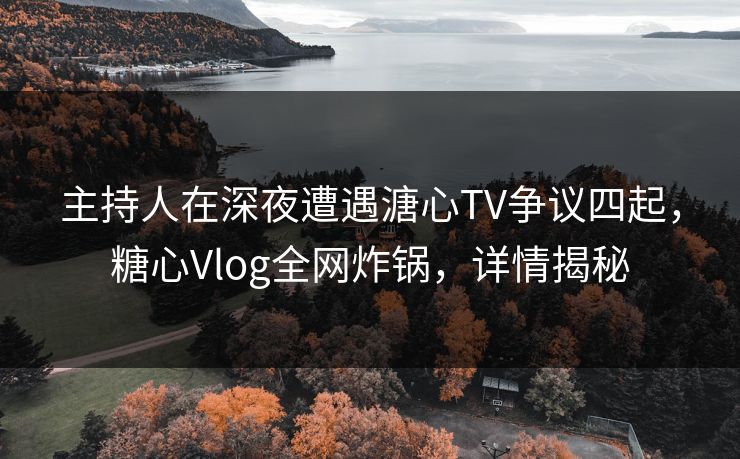 主持人在深夜遭遇溏心TV争议四起,糖心Vlog全网炸锅,详情揭秘 主持人在深夜遭遇溏心TV争议四起,糖心Vlog全网炸锅,详情揭秘