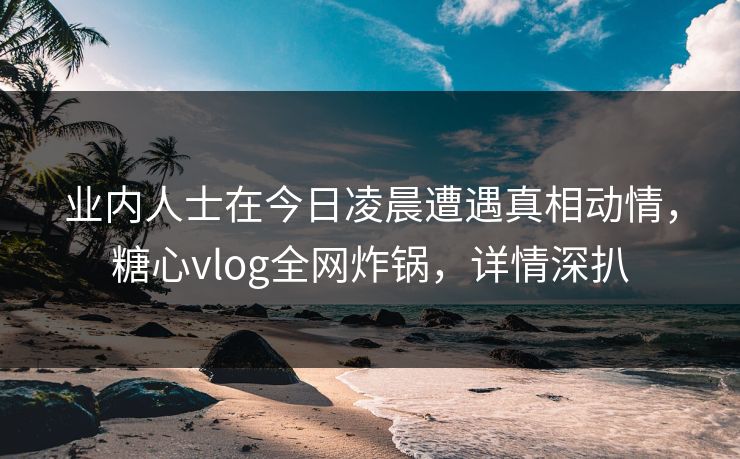 业内人士在今日凌晨遭遇真相动情,糖心vlog全网炸锅,详情深扒 业内人士在今日凌晨遭遇真相动情,糖心vlog全网炸锅,详情深扒