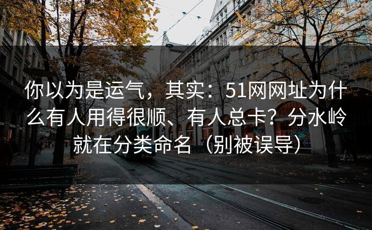 你以为是运气，其实：51网网址为什么有人用得很顺、有人总卡？分水岭就在分类命名（别被误导）