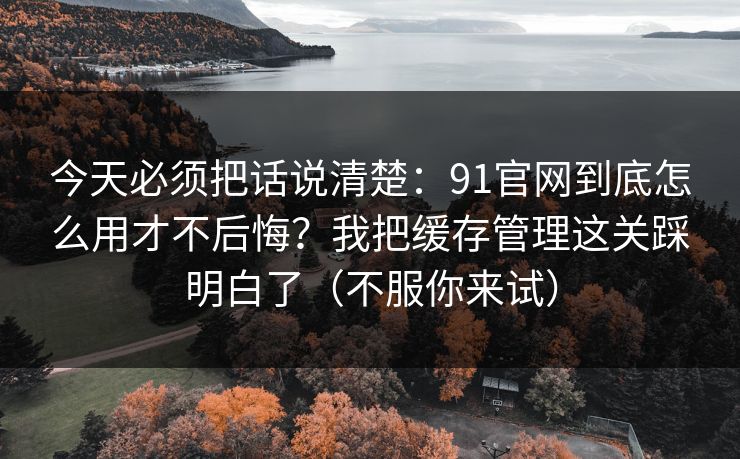 今天必须把话说清楚：91官网到底怎么用才不后悔？我把缓存管理这关踩明白了（不服你来试）